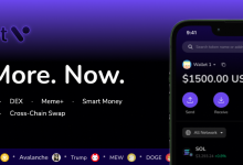 wallet-v-turns-to-industry-expert-in-leading-growth