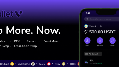 wallet-v-turns-to-industry-expert-in-leading-growth