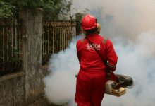 from-ants-to-rodents:-how-an-experienced-exterminator-keeps-your-home-safe-and-sanitary