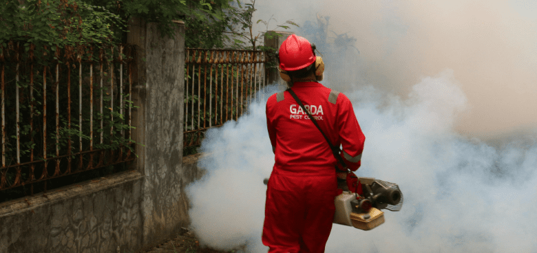 from-ants-to-rodents:-how-an-experienced-exterminator-keeps-your-home-safe-and-sanitary